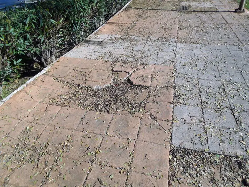 Acerado de la zona de la avenida Costa de la Luz. - VH