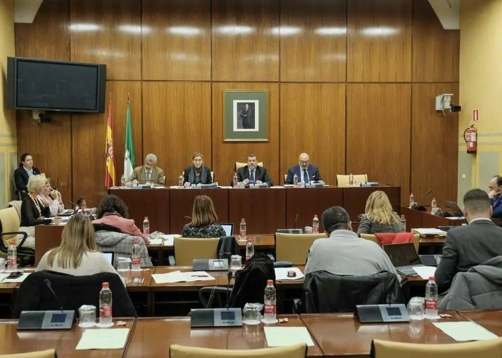 Comisi&oacute;n de investigaci&oacute;n. - Europa Press