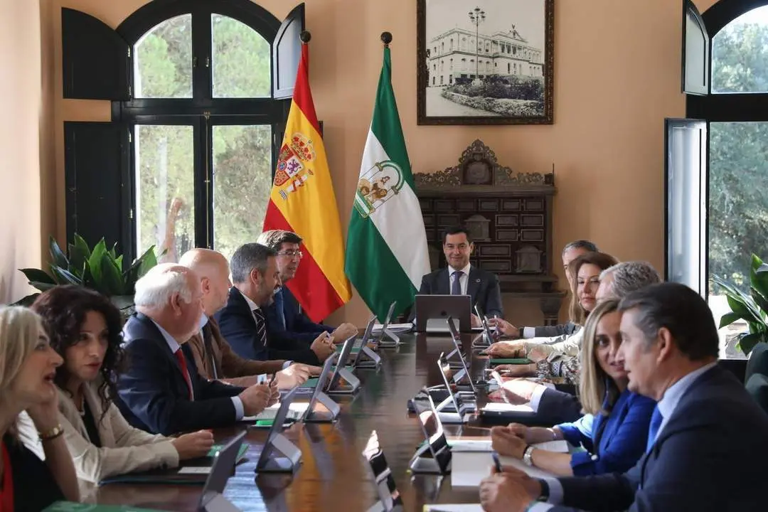 Consejo de Gobierno de la Junta de Andaluc&iacute;a. - EP