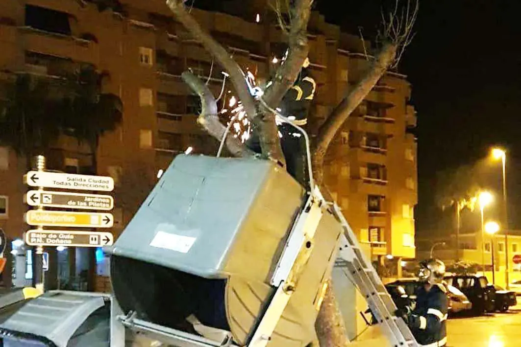 Los bomberos descendiendo el contenedor del &aacute;rbol - A. I.