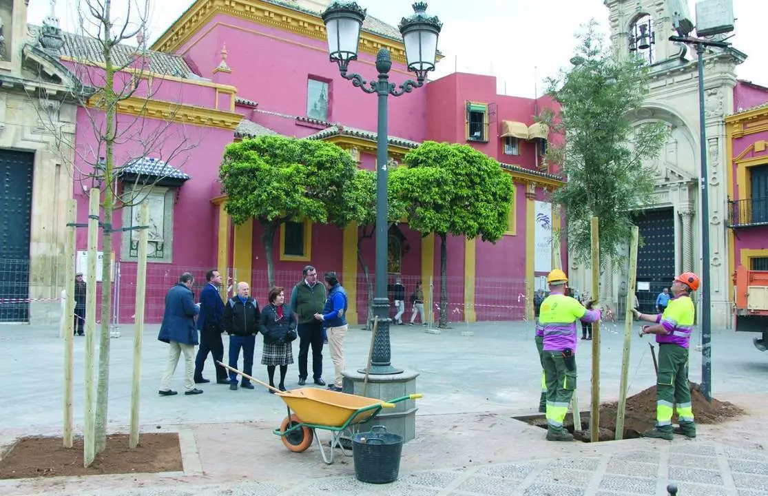 Una de las &uacute;ltimas plantaciones. - Ayto