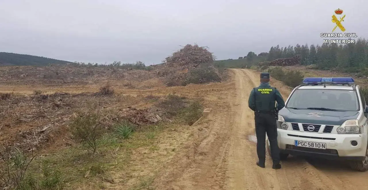 Robo de madera en Almonaster. - VH