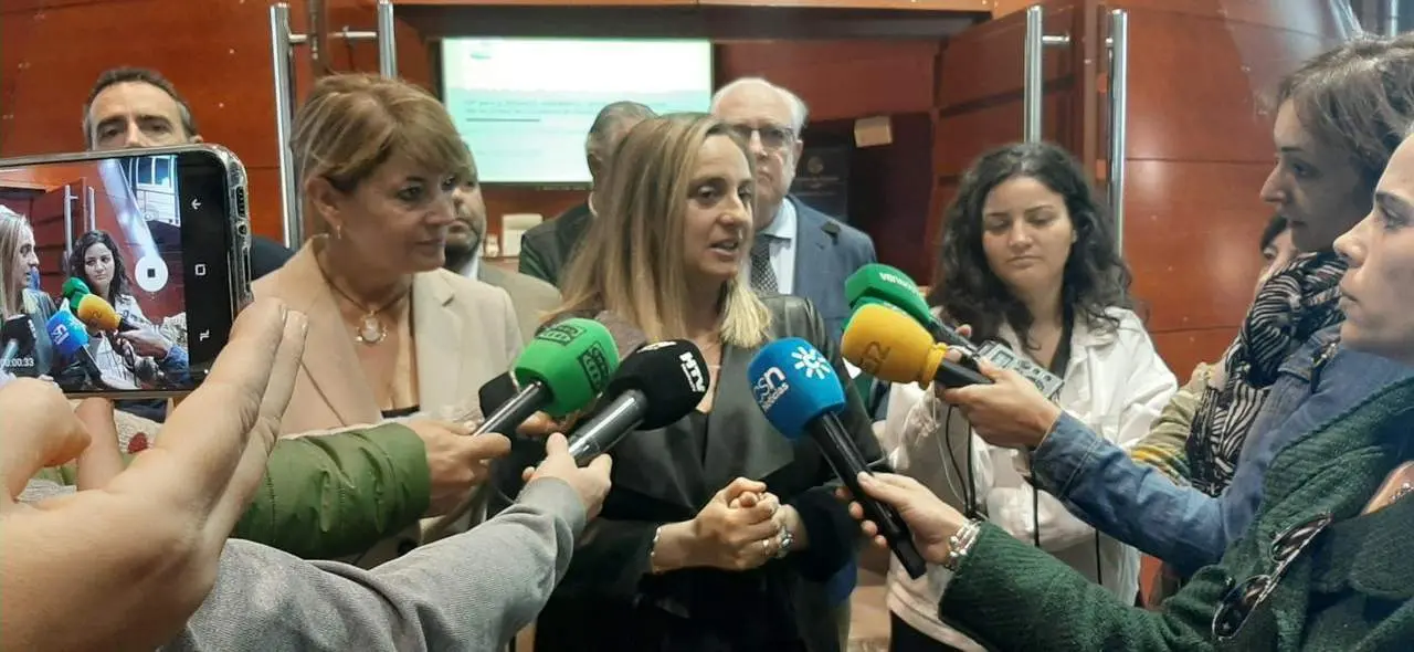 La consejera de Fomento, Infraestructuras y Ordenaci&oacute;n del Territorio, Marifr&aacute;n Carazo, en Huelva. - VH
