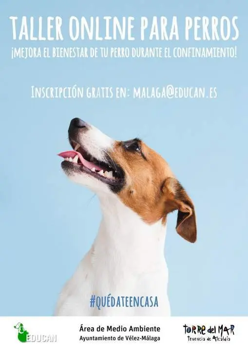 Cartel del curso. - AI