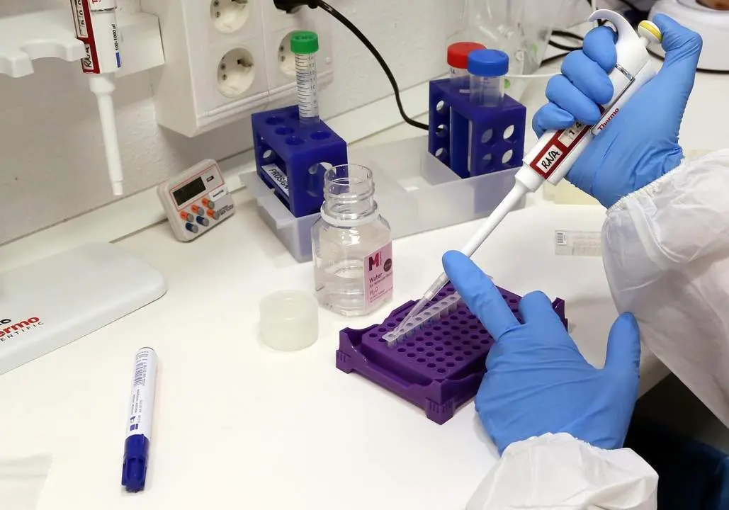Apoyo a la investigaci&oacute;n - VM