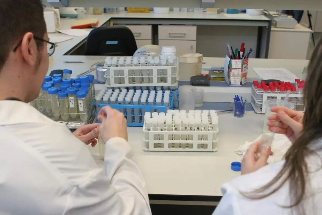 Laboratorio. - Europa Press
