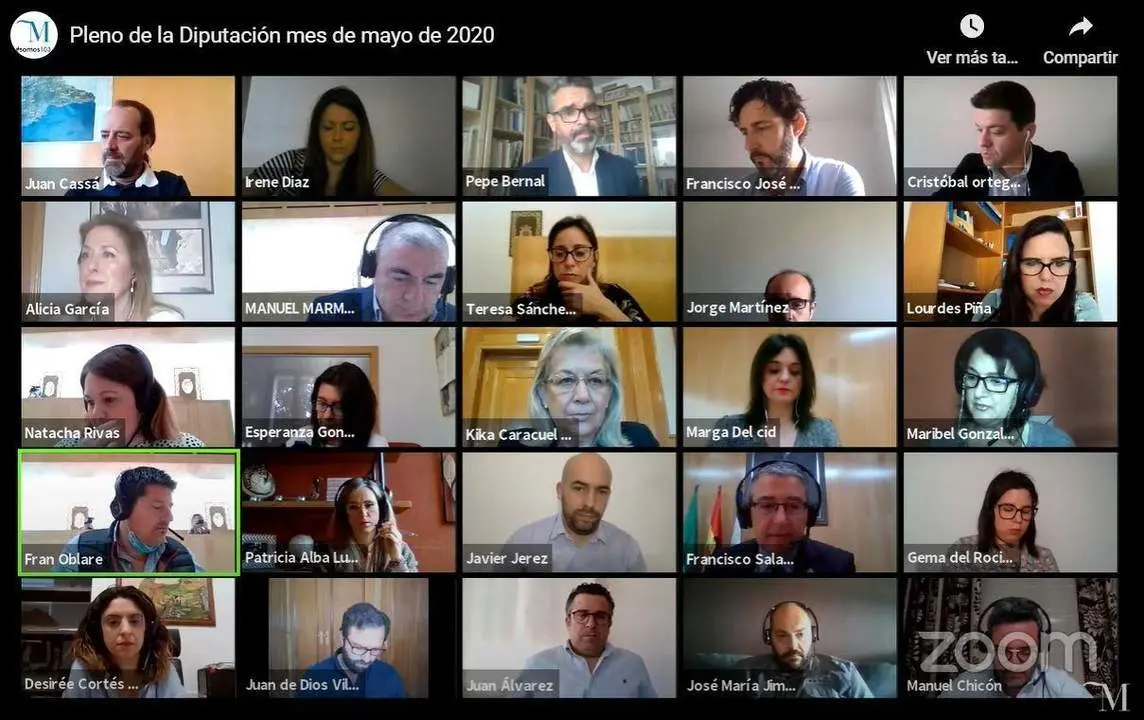 Pleno telem&aacute;tico y pol&eacute;mico. - Diputaci&oacute;n