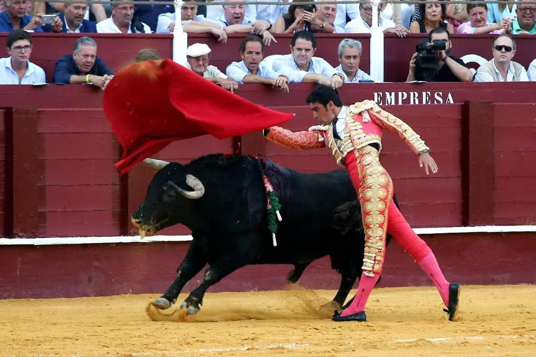 Miguel &Aacute;ngel Perera en M&aacute;laga en 2019. - EFE/Daniel P&eacute;rez