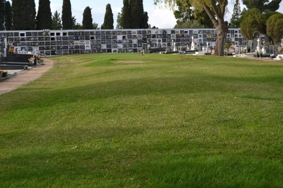 Fosa del Cementerio de La Soledad. - VH
