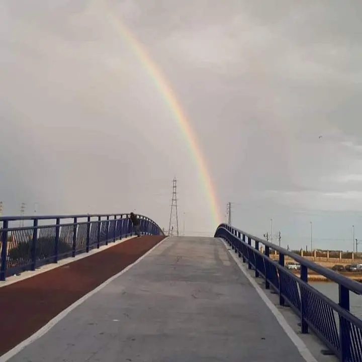 Foto ganadora. - AI