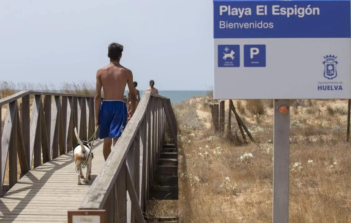 Playa del Espig&oacute;n. - VH