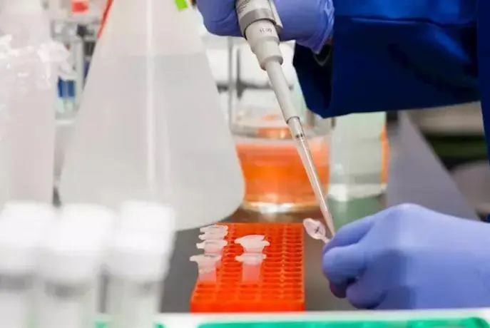 Trabajo en Laboratorio. - Archivo