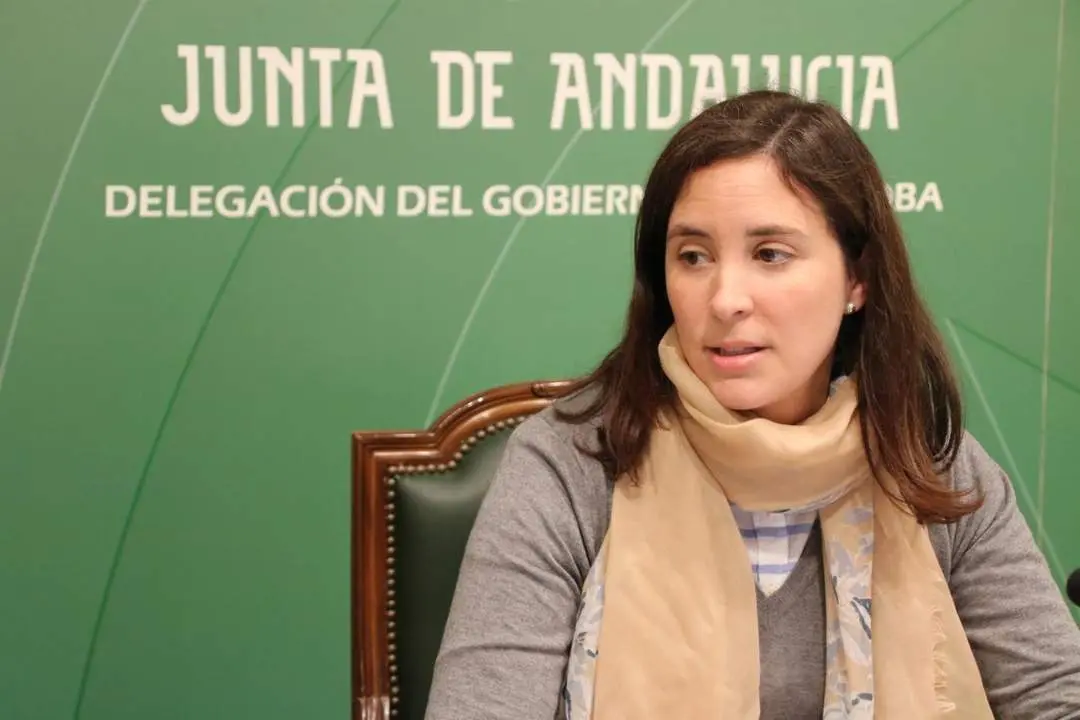 La delegada de Fomento, Infraestructuras, Ordenaci&oacute;n del Territorio, Cultura y Patrimonio Hist&oacute;rico de la Junta, Cristina Casanueva - Junta de Andaluc&iacute;a