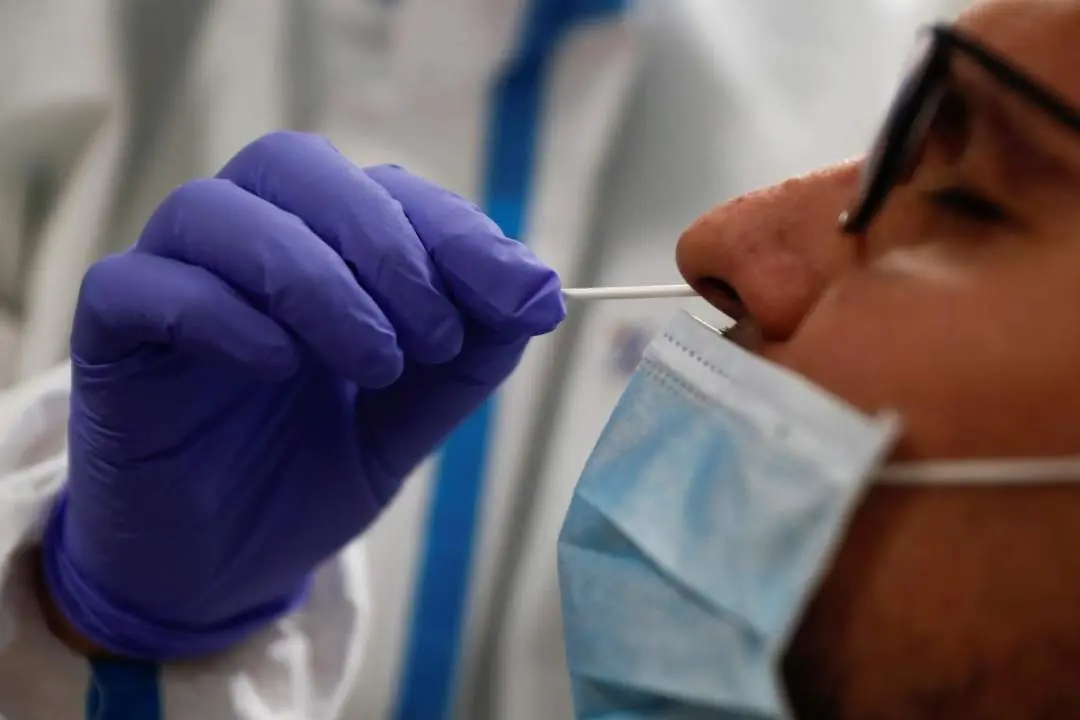 Test de coronavirus. - Efe