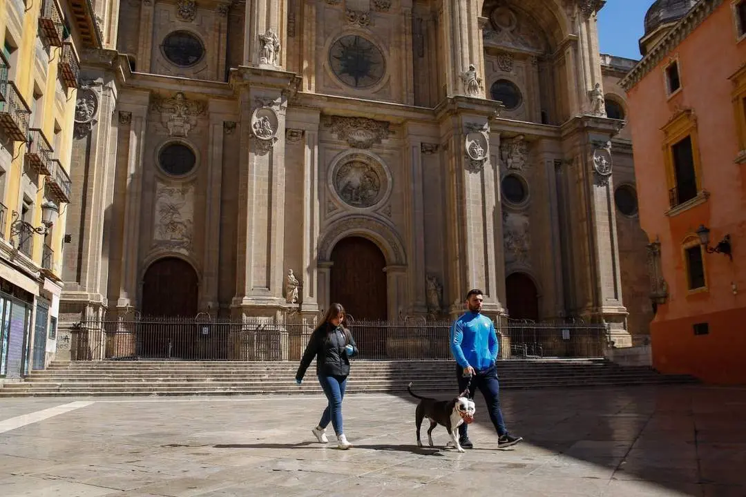 Entorno de la catedral de Granada. - EP