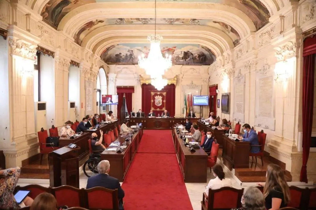 Pleno de julio. - Ayto. M&aacute;laga