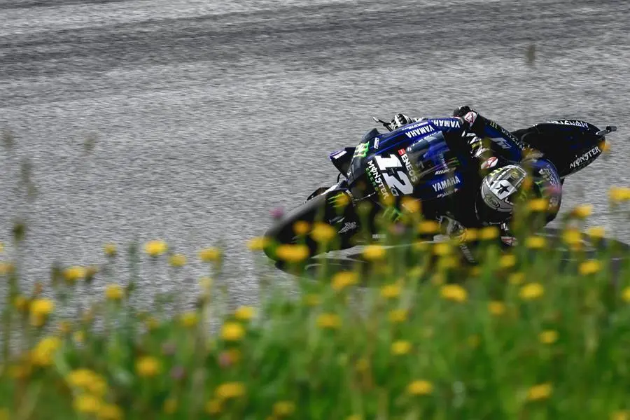 maverick vi&ntilde;ales. - efe