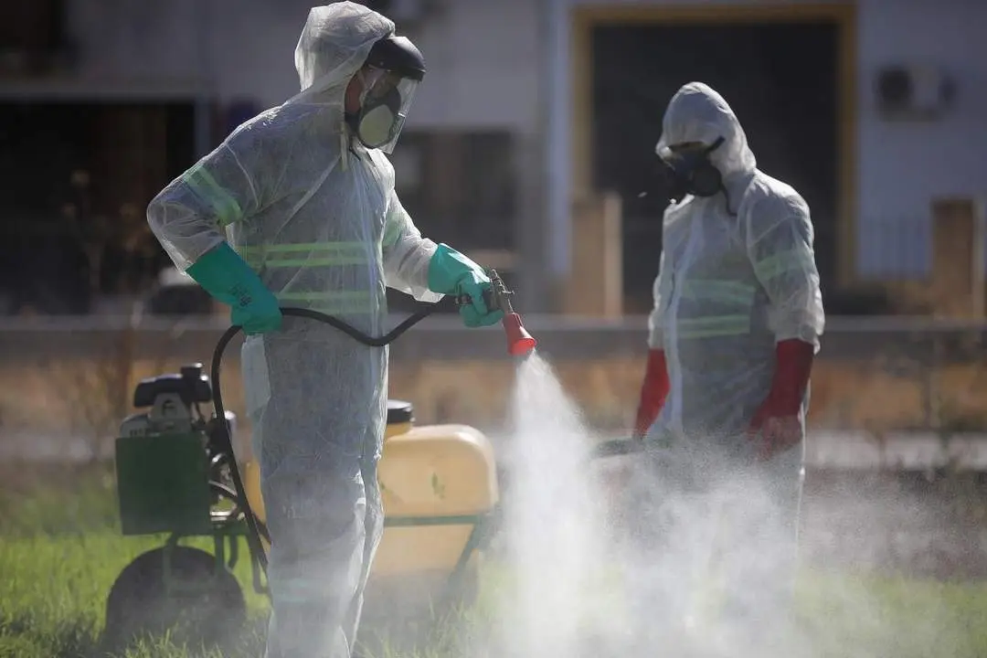 Labores de fumigaci&oacute;n en Coria. - ep