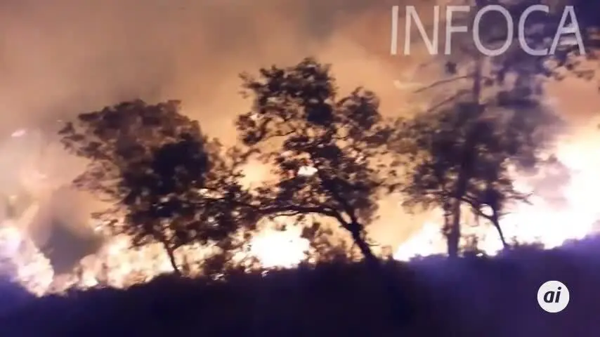 Estabilizado el incendio forestal de Huelva cinco d&iacute;as despu&eacute;s de su inicio