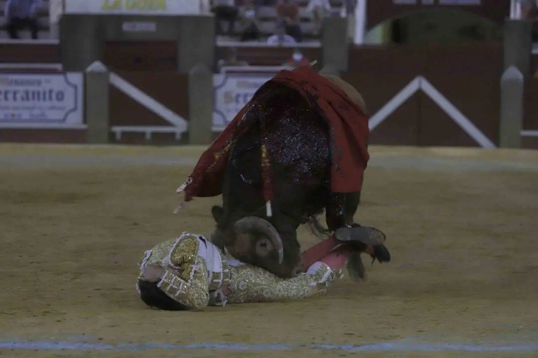 Momento de la cogida. - Eva Morales