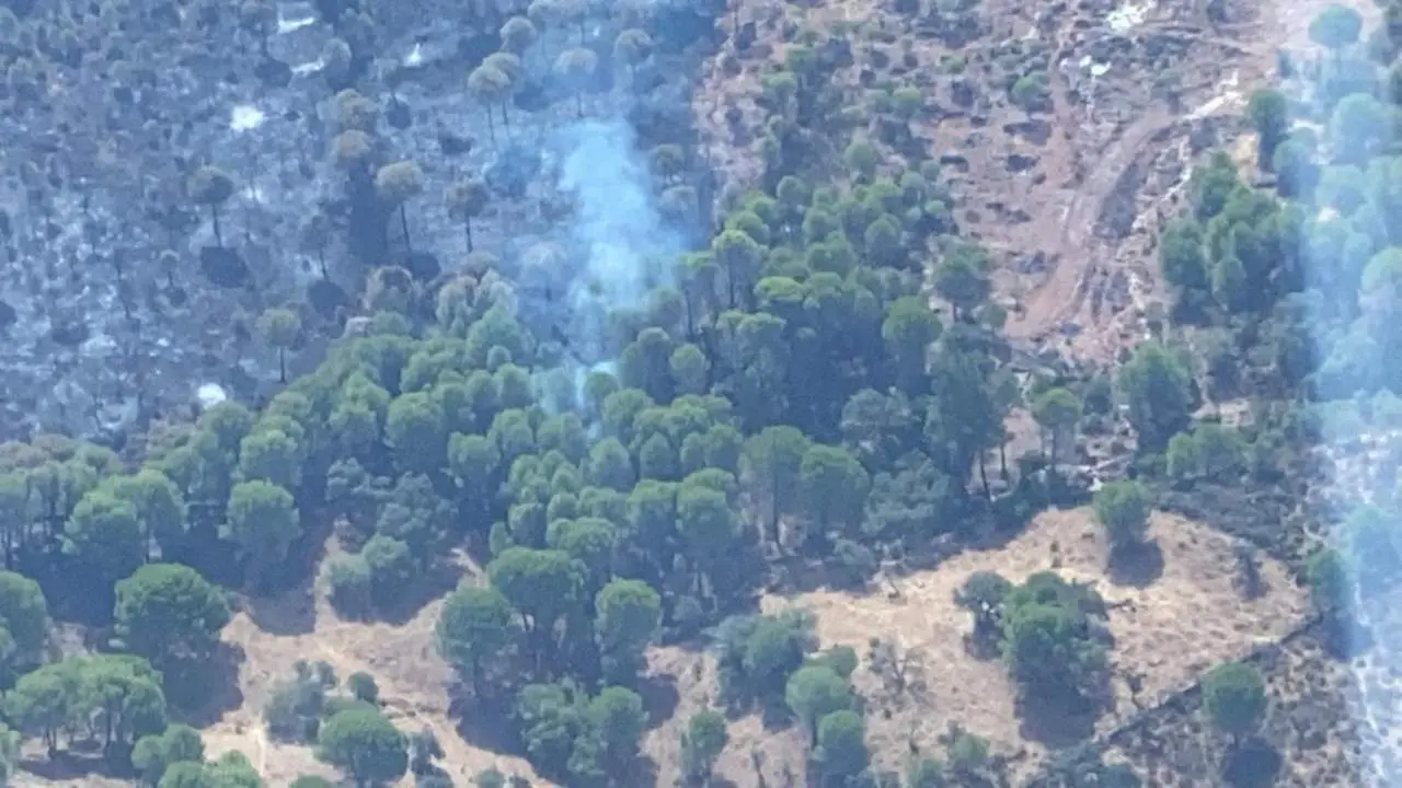 Reproducci&oacute;n en el interior del incendio. - INFOCA