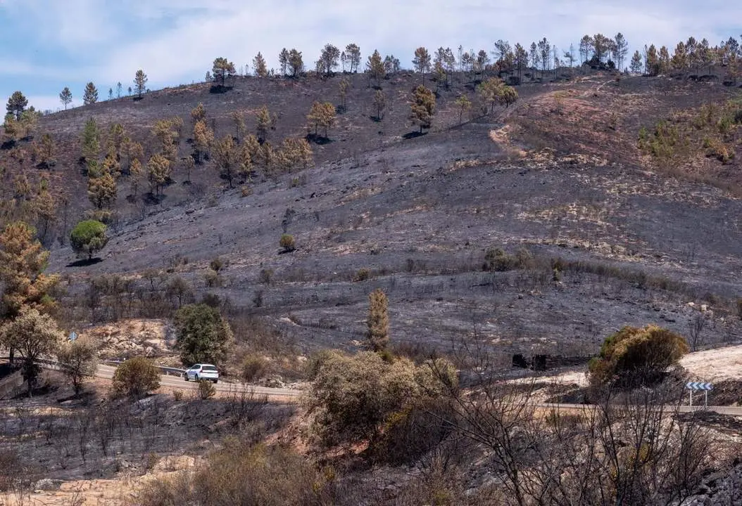 Monte quemado en Zalamea. - JULI&Aacute;N P&Eacute;REZ / EFE
