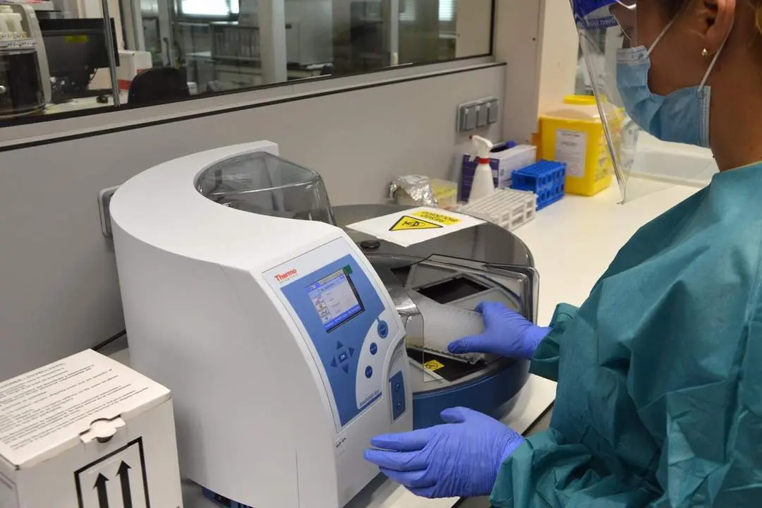 Pruebas PCR. - EP