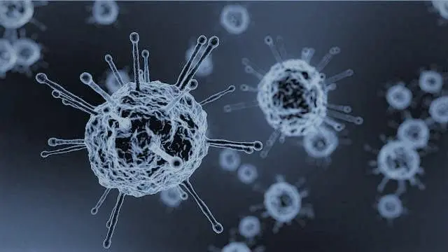 Virus Covid-19. - 