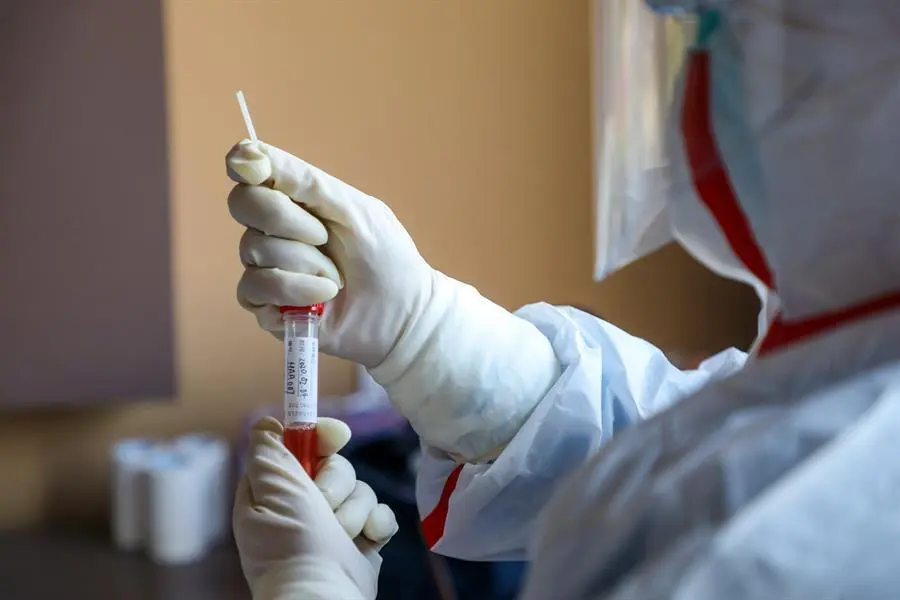 Coronavirus. - EFE