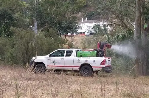 Fumigaci&oacute;n contra los mosquitos llevada a cabo por la Diputaci&oacute;n de C&aacute;diz. - 