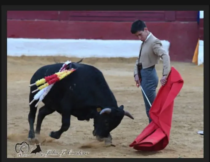 'El Boni' - Julio Cordero