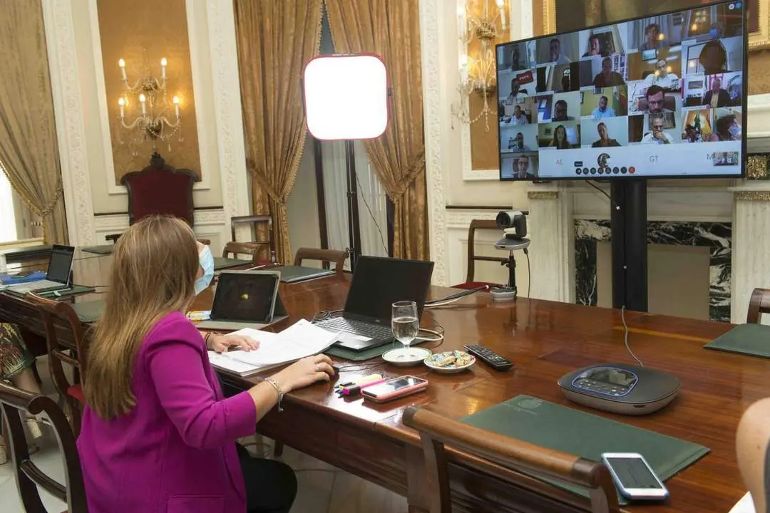 Imagen de archivo de Irene Grc&iacute;a presidiendo el pleno ordinario Diputaci&oacute;n de manera telem&aacute;tica - 