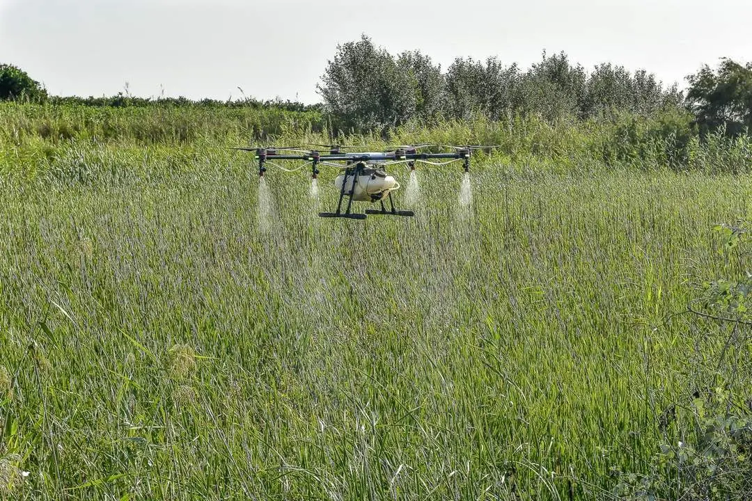 La Junta supervisa la fumigaci&oacute;n con drones para frenar el mosquito del Nilo