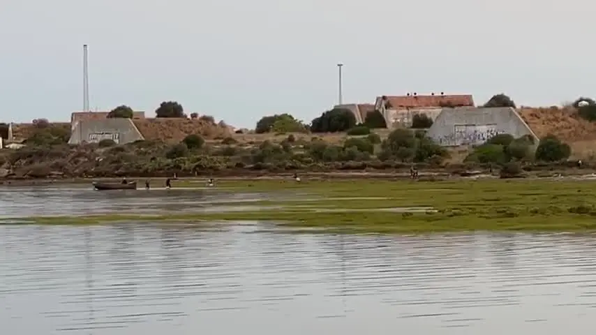 Desembarco de hach&iacute;s en Fadricas a plena luz del d&iacute;a y persecuci&oacute;n policial