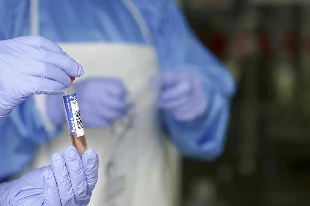 Pruebas PCR. - Europa Press