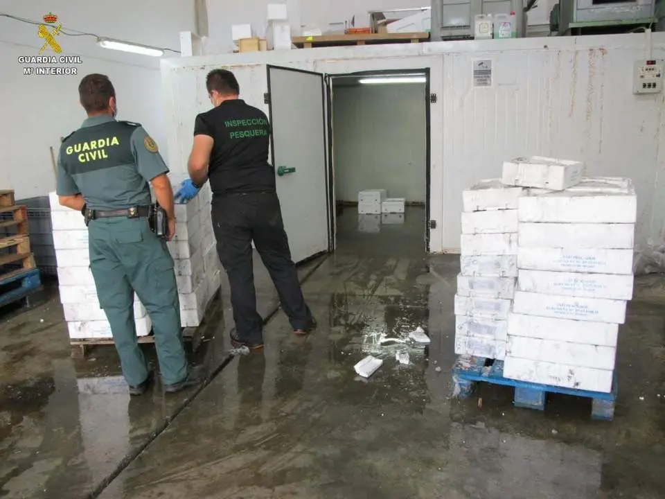 Pescado intervenido en la nave. - VH
