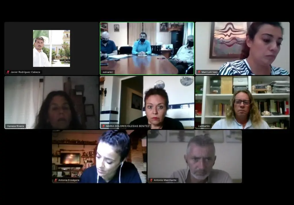 Imagen de la reuni&oacute;n telem&aacute;tica. - A.I.