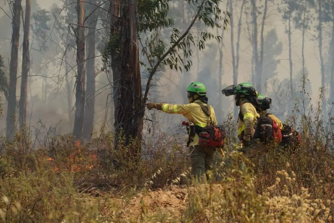 Incendio de Almonaster. - EFE