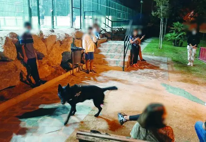 Actuaci&oacute;n de la Unidad Canina de la Polic&iacute;a Local. - VM