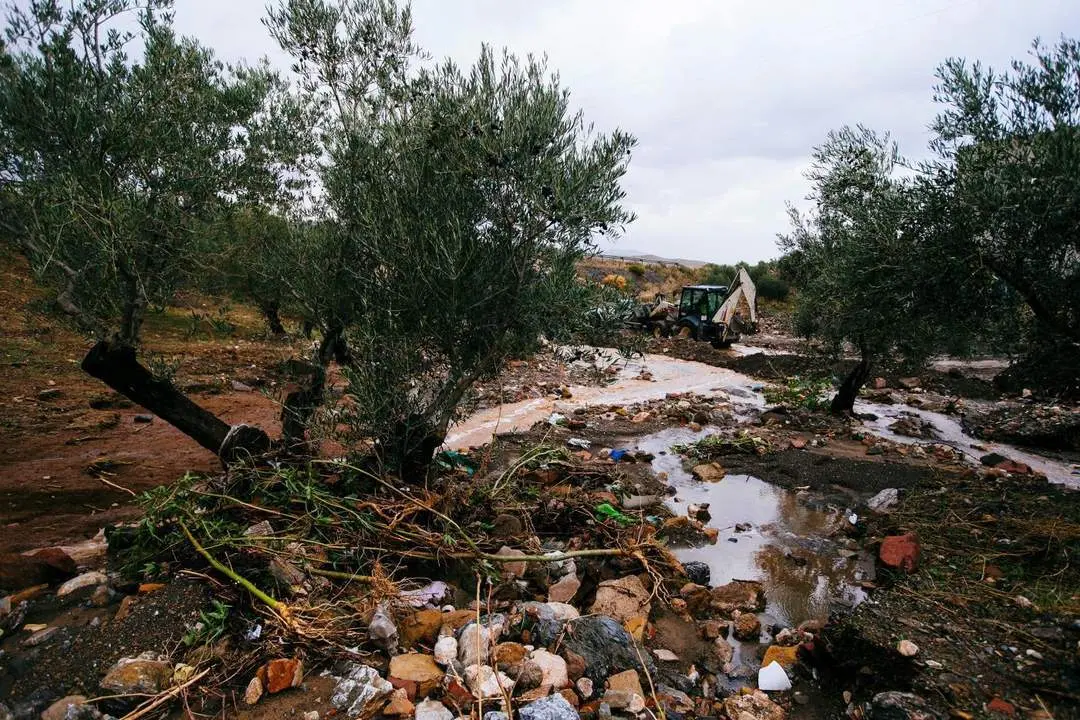 Una m&aacute;quina intenta adecuar el terreno del arroyo de El Perro, una de las dos pedan&iacute;as de la localidad malague&ntilde;a de Ardales  - EFE/Jorge Zapata