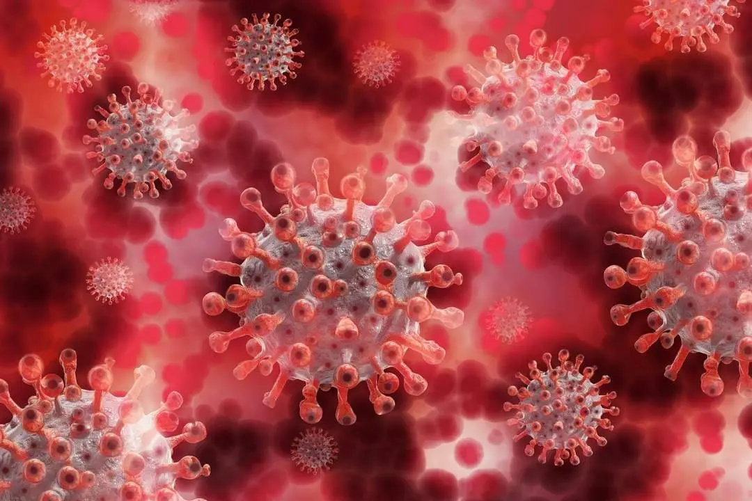 Coronavirus. - 