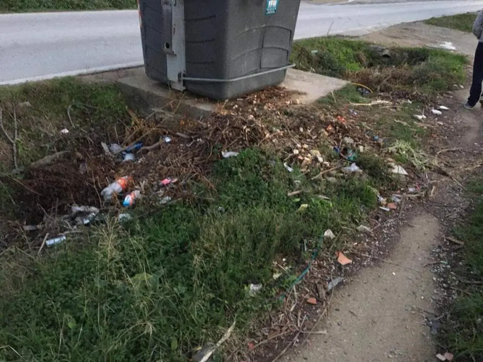 Imagen de la zona. - 