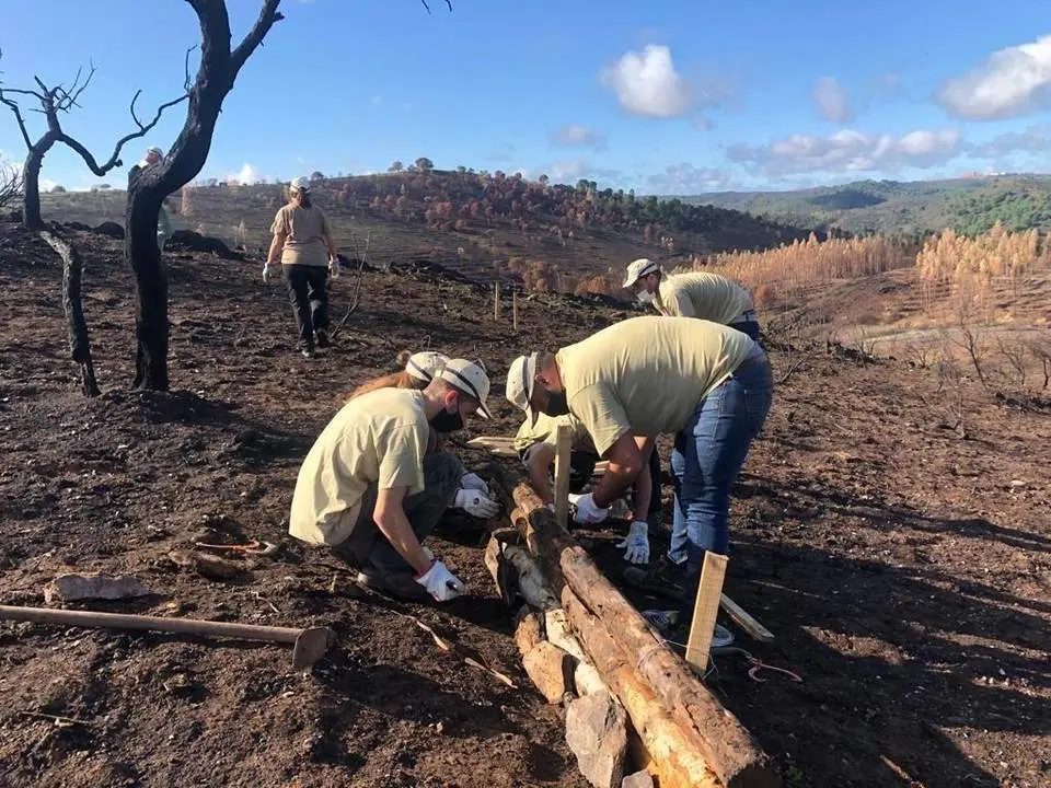 Voluntarios trabajan en la zona incendiada en Almonaster. - Europa Press