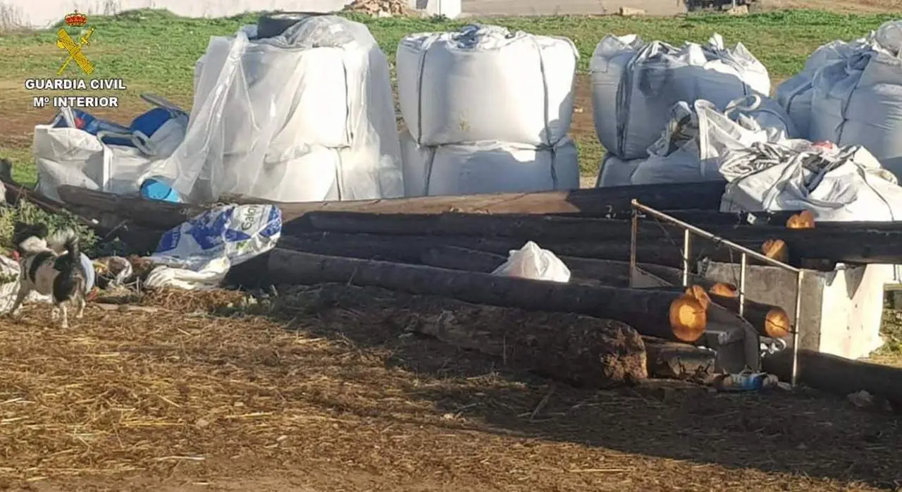 Postes de telefon&iacute;a localizados en la finca del investigado. - VH