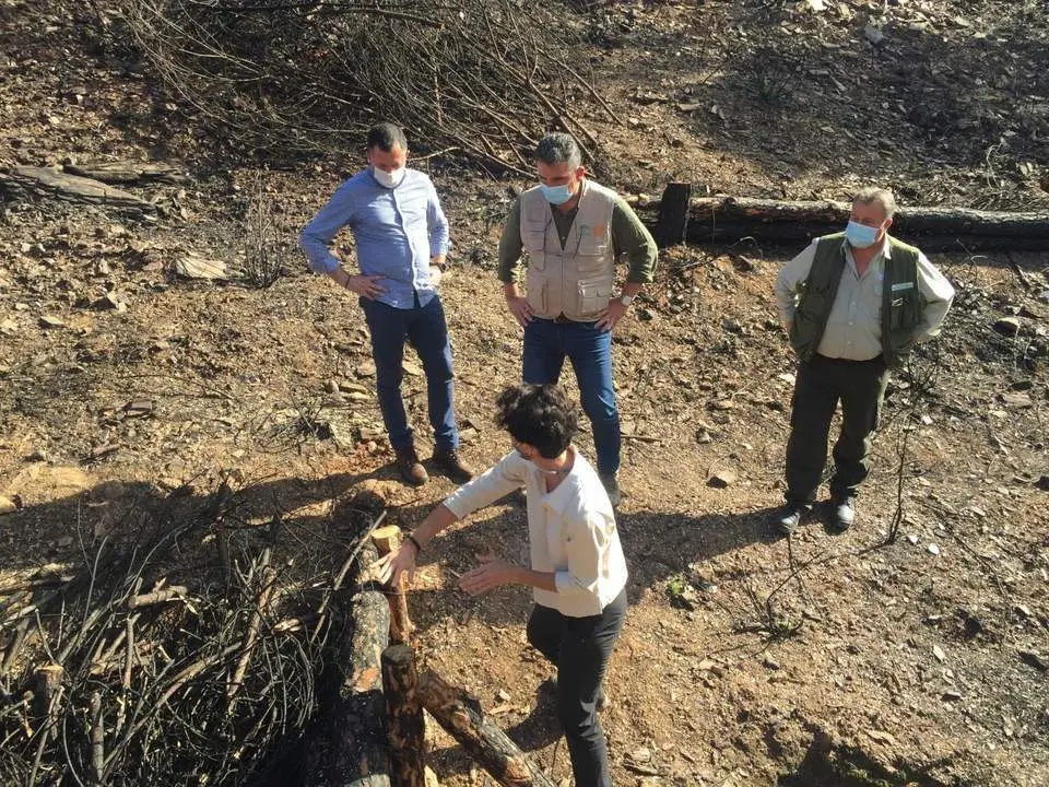 Visita a las actuaciones tras el incendio de Almonaster. - VH