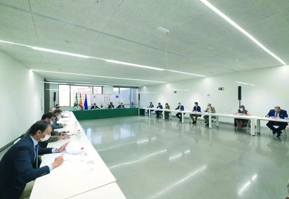 Mesas constituyentes de la ITI - VIVA JA&Eacute;N