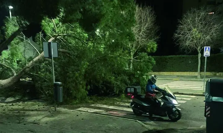 Un motorista cruzando la calzada donde se produjo el suceso.  - RRSS