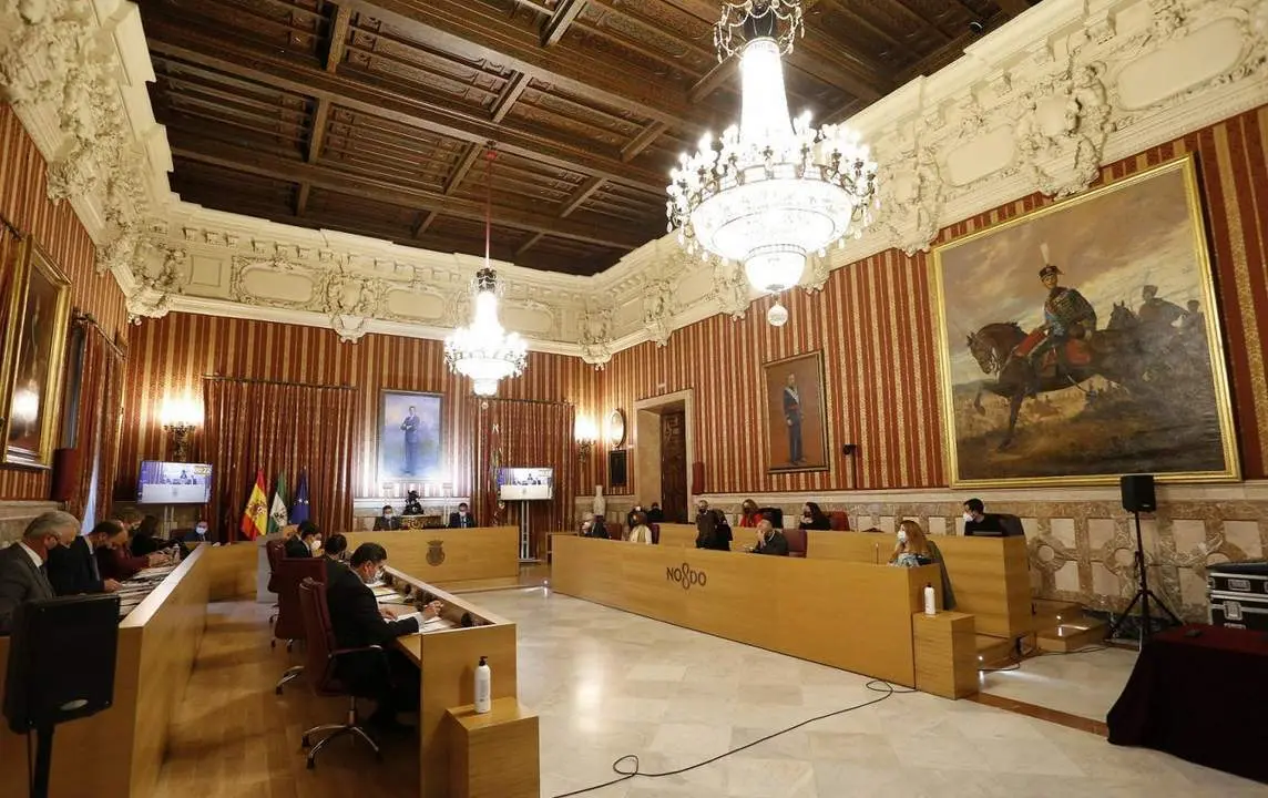 Pleno municipal. - AYTO