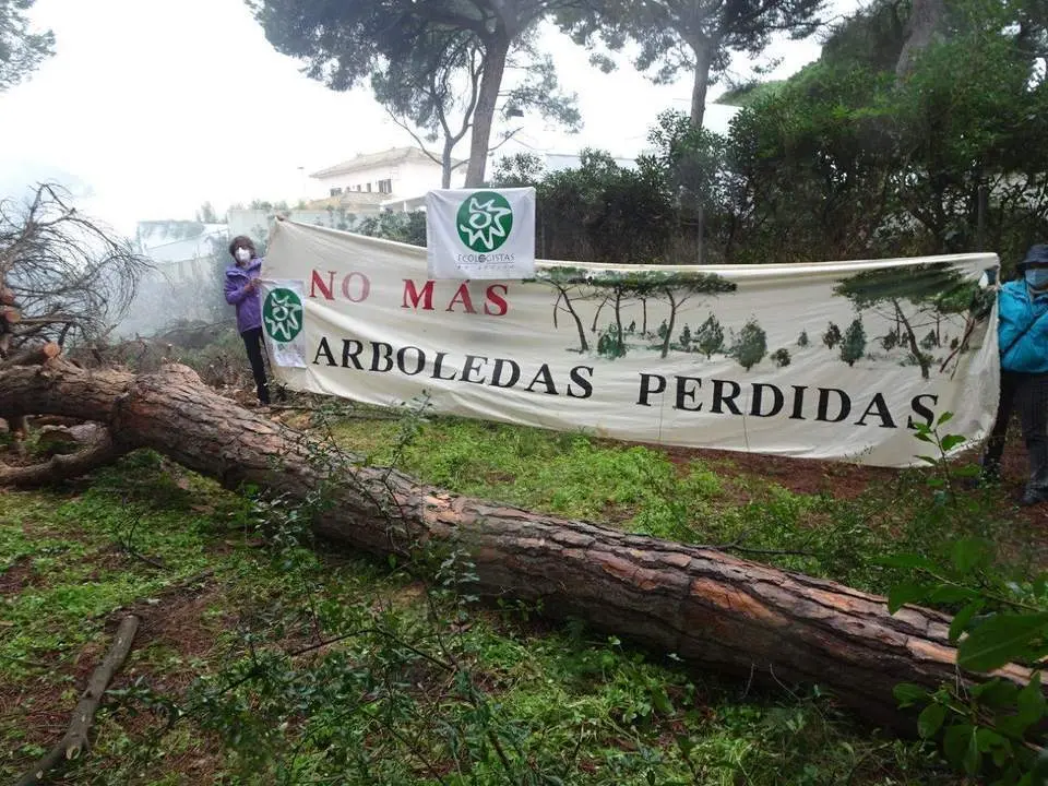 Paralizaci&oacute;n tala Dunas Ecologistas en Acci&oacute;n. - Viva