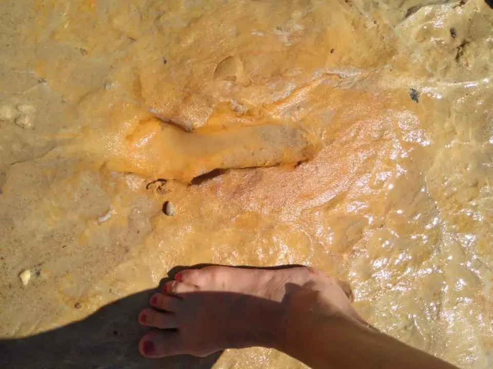 Pisadas neandertales halladas en Matalasca&ntilde;as. - VH